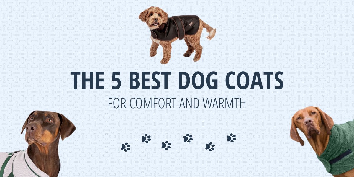 The 5 best dog coats for comfort and warmth