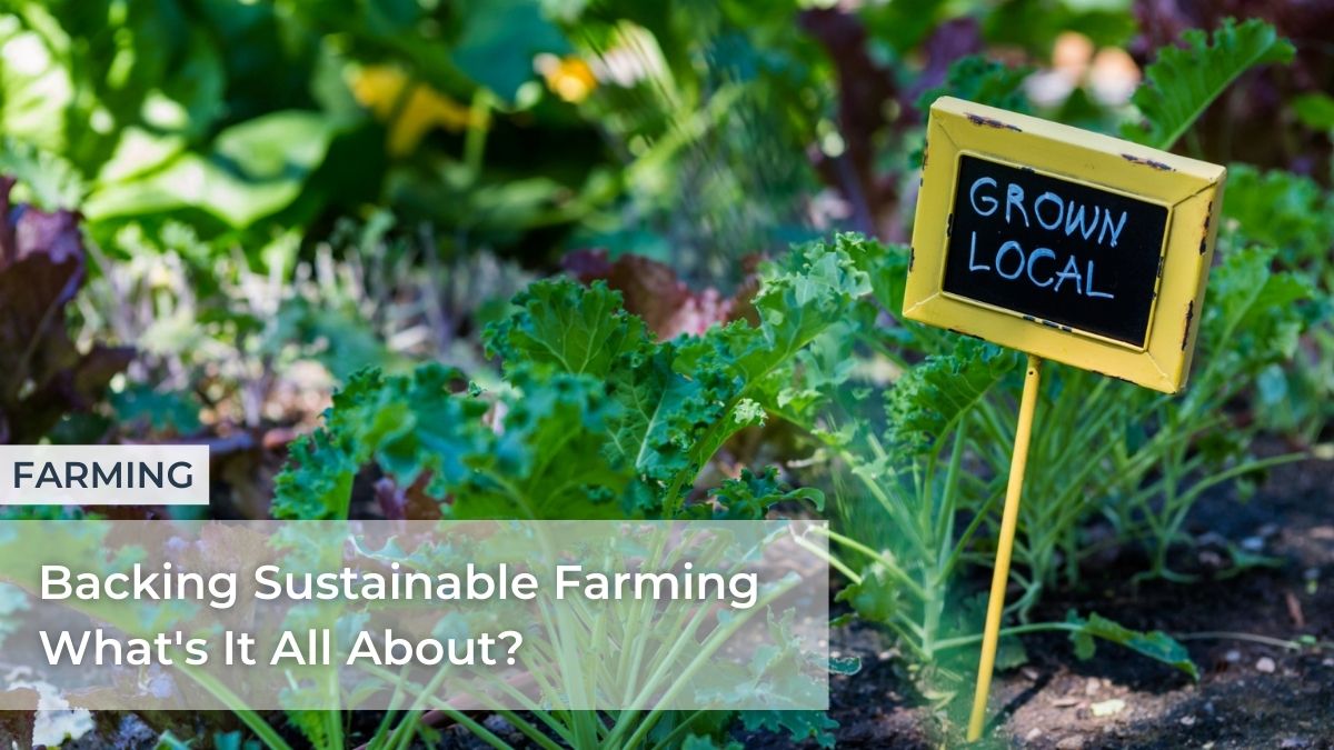 Backing Sustainable Farming What's It All About?