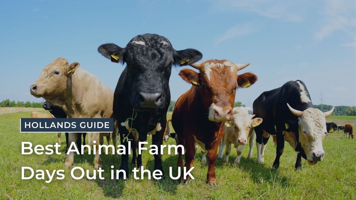 The Best Farms in the UK to Visit with Kids