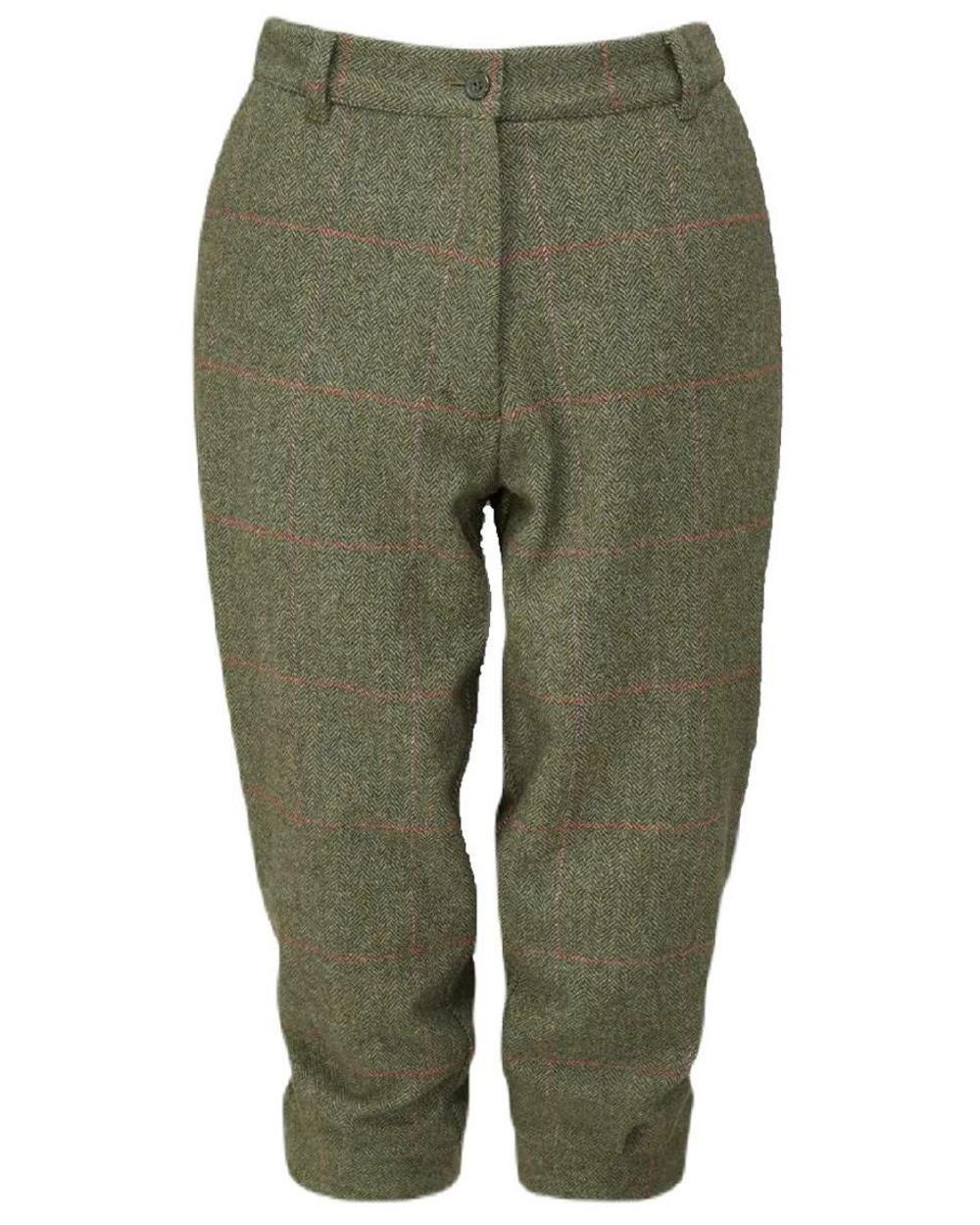 Heath coloured Alan Paine Combrook Ladies Tweed Breeks on white background