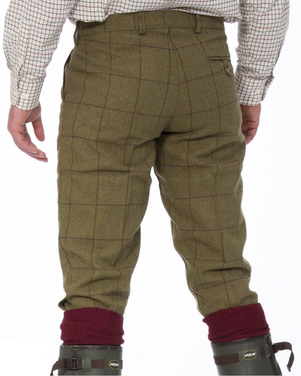 Lichen coloured Alan Paine Rutland Tweed Breeks on white background