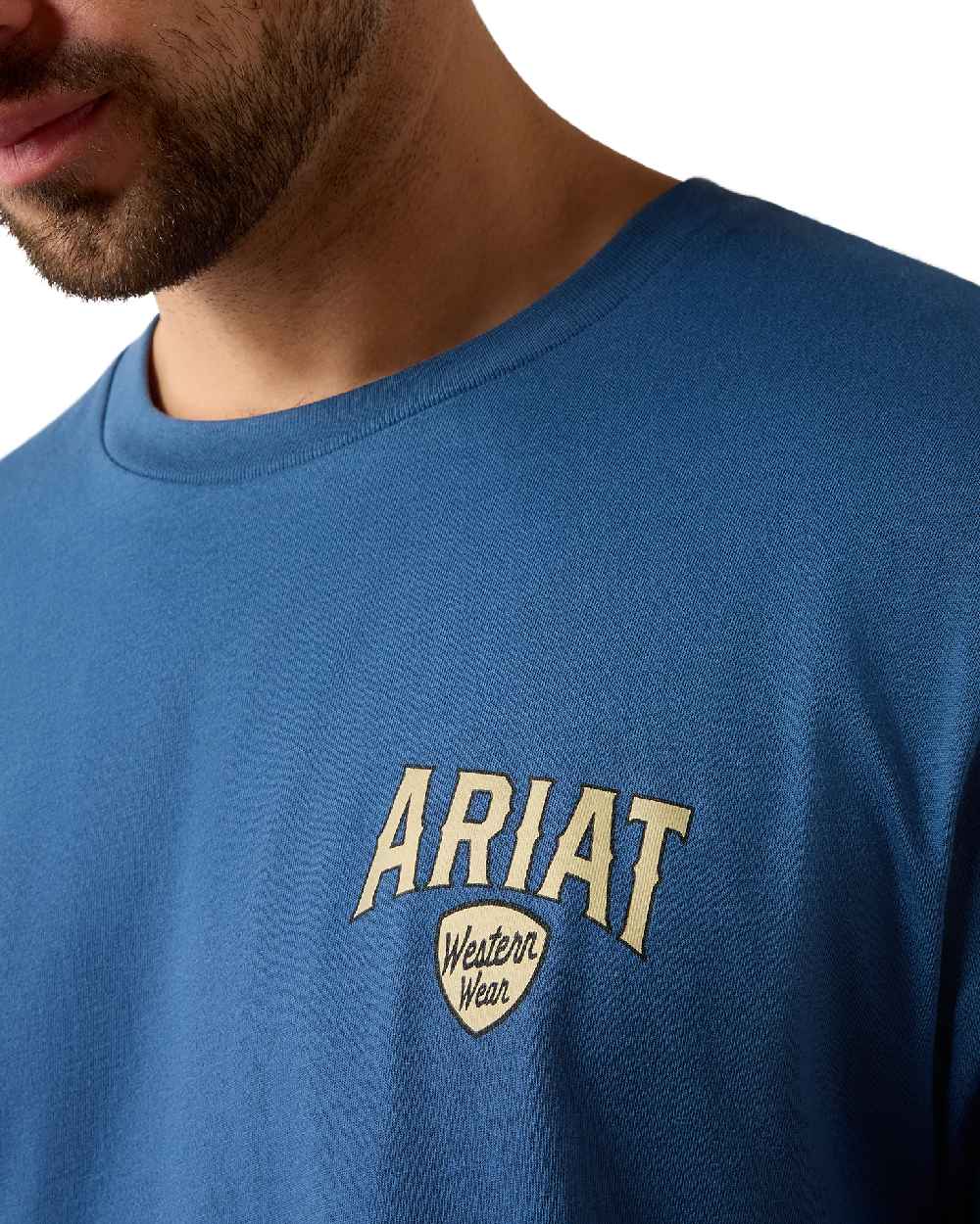 Grisalle coloured Ariat Mens Lone Longhorn T Shirt on white background