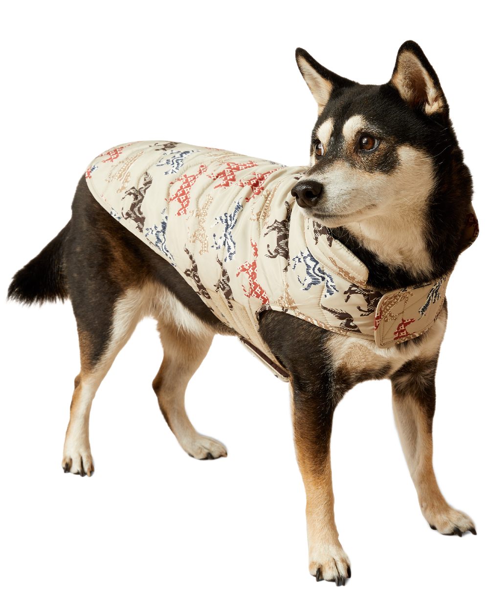 Painted Ponies Print coloured Ariat Pup Puffer Jacket on white background