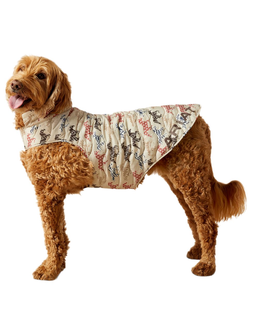 Painted Ponies Print coloured Ariat Pup Puffer Jacket on white background