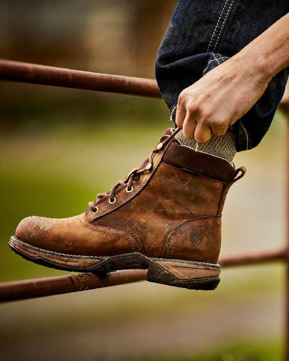 Distressed Brown Coloured Ariat Womens Anthem Round Toe Lacer Waterproof Boot on blurry background