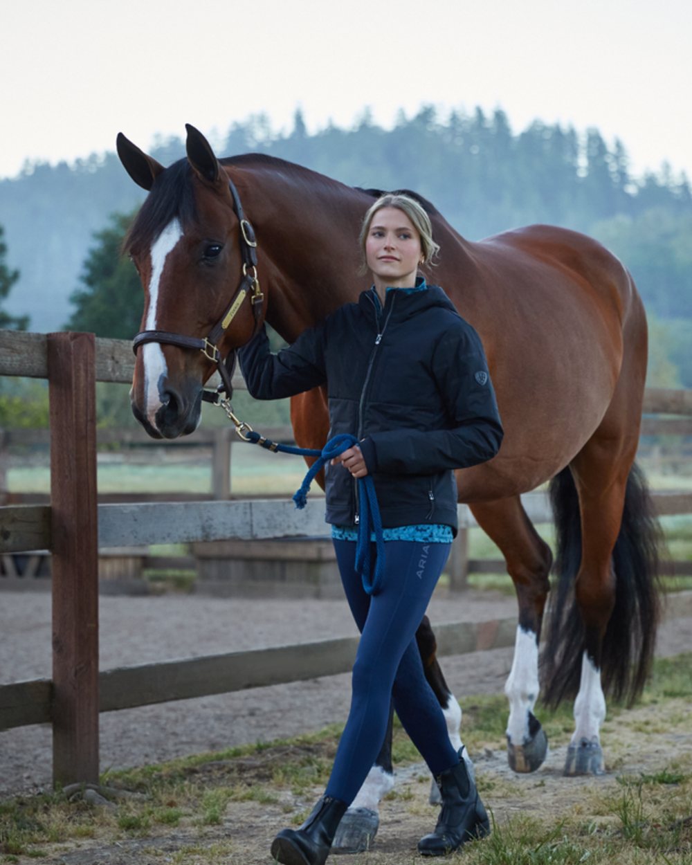 Navy Coloured Ariat Womens Avail 2.0 Half Grip Tights on white background