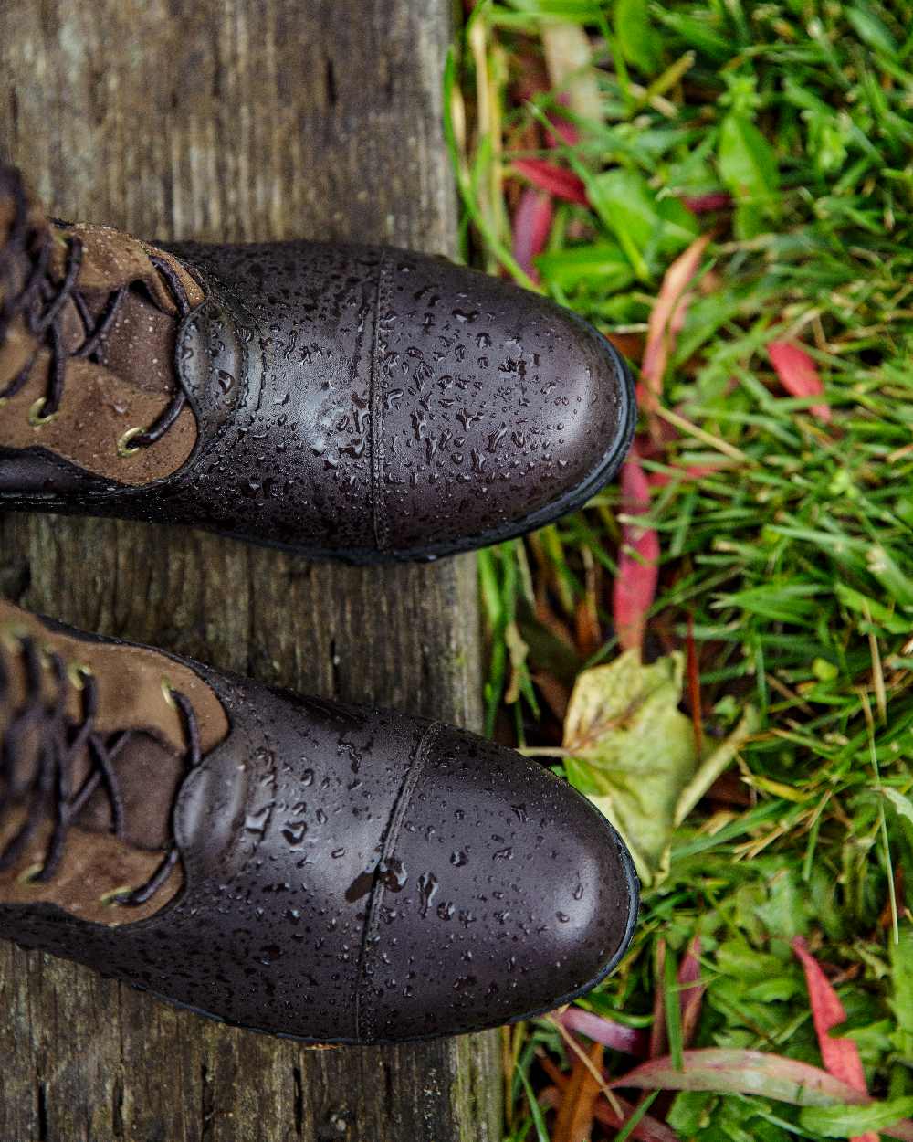 Ebony Brown Coloured Ariat Womens Coniston Max Waterproof Insulated Boot on grass background
