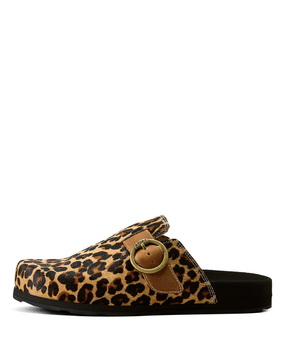 Leopard Hair On coloured Ariat Womens Country Mules on white background