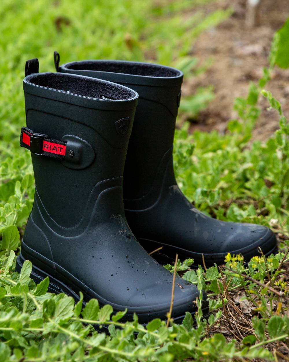 Navy coloured Ariat Womens Kelmarsh Mid Rubber Wellington Boots on leafy background