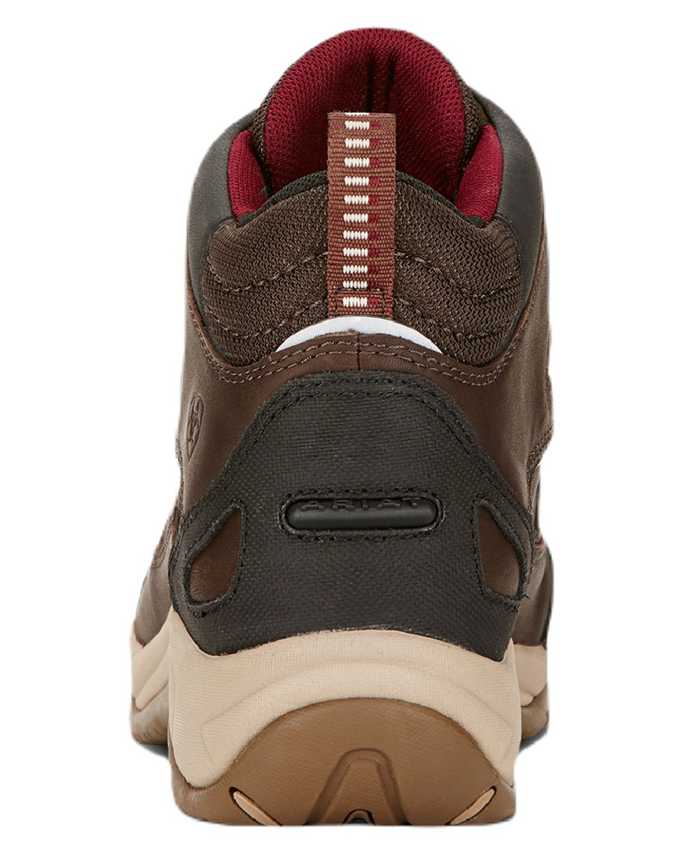 Dark Brown coloured Ariat Womens Telluride II H2O Waterproof Boots on white background