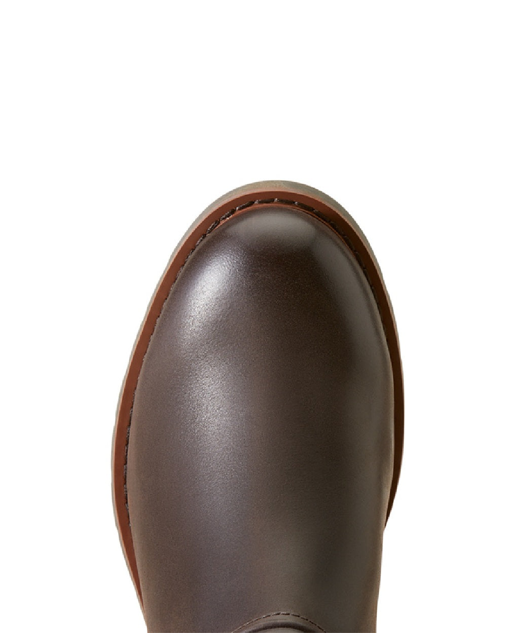 Ariat Womens Scarlet Waterproof Wellington Boots in Mocha