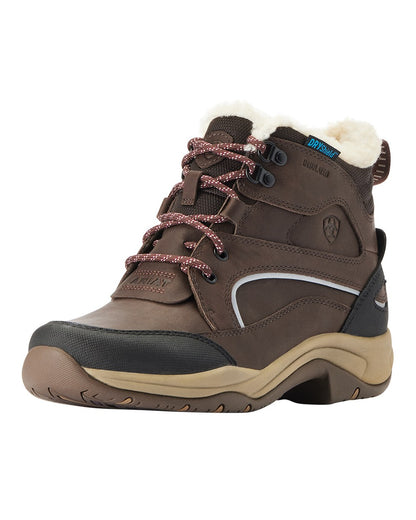 Ariat Womens Telluride Waterproof Insulated Boots in Dark Brown