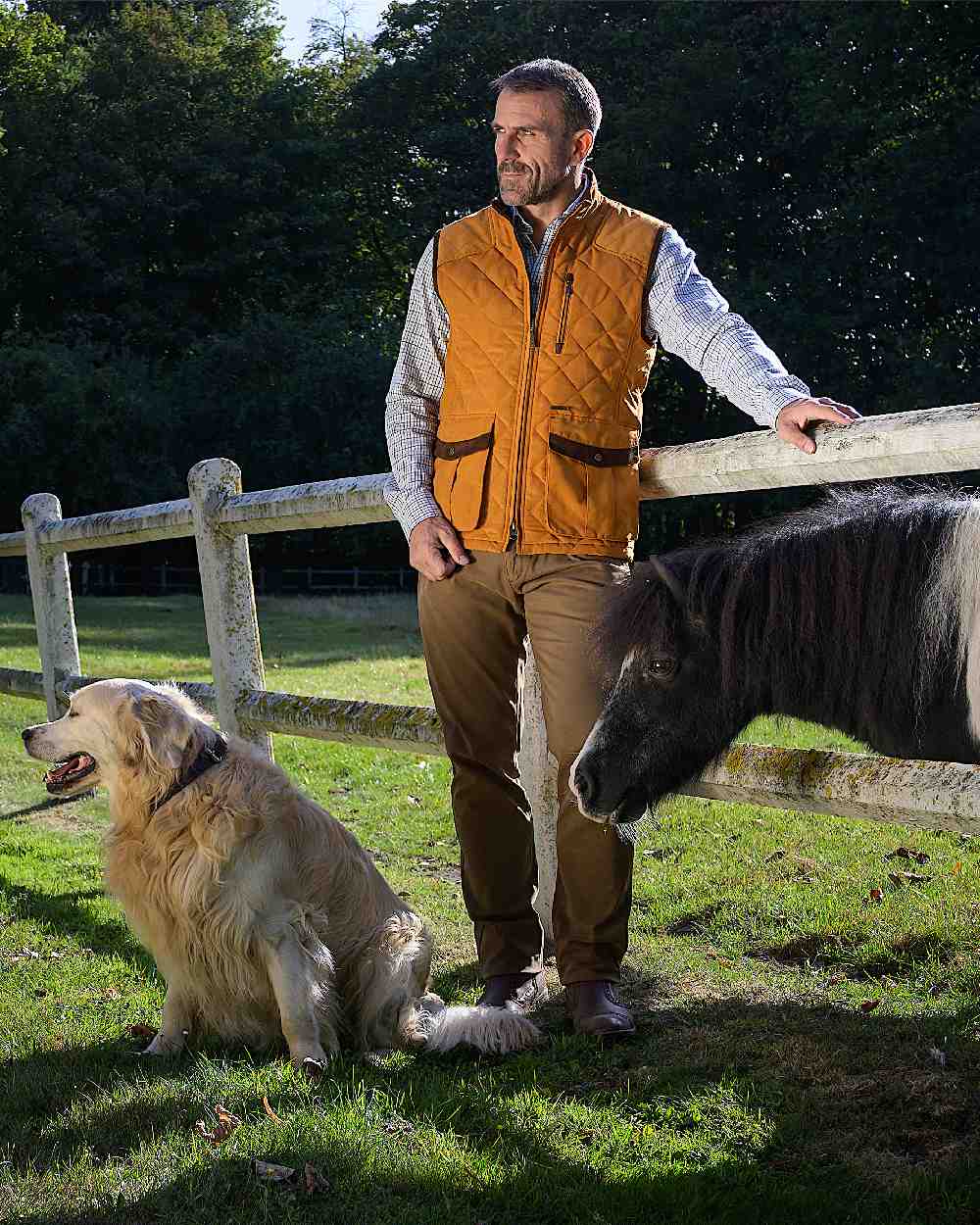 Caramel Coloured Baleno Thames Quilted Bodywarmer on forest background