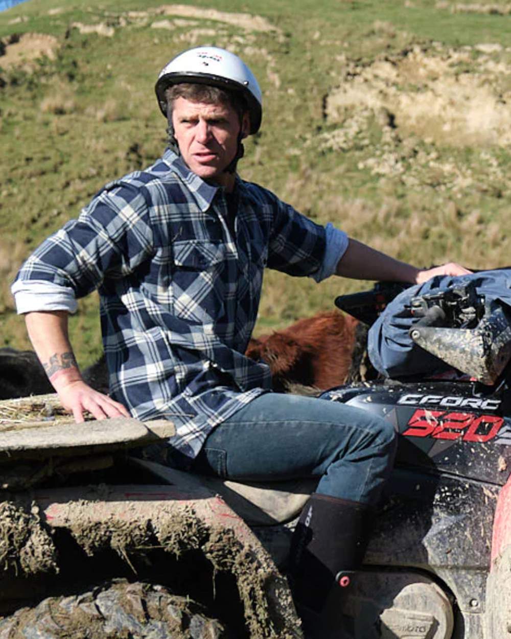 Blue Check coloured Betacraft Mens Stag Brushed Cotton Shirt on mountain background