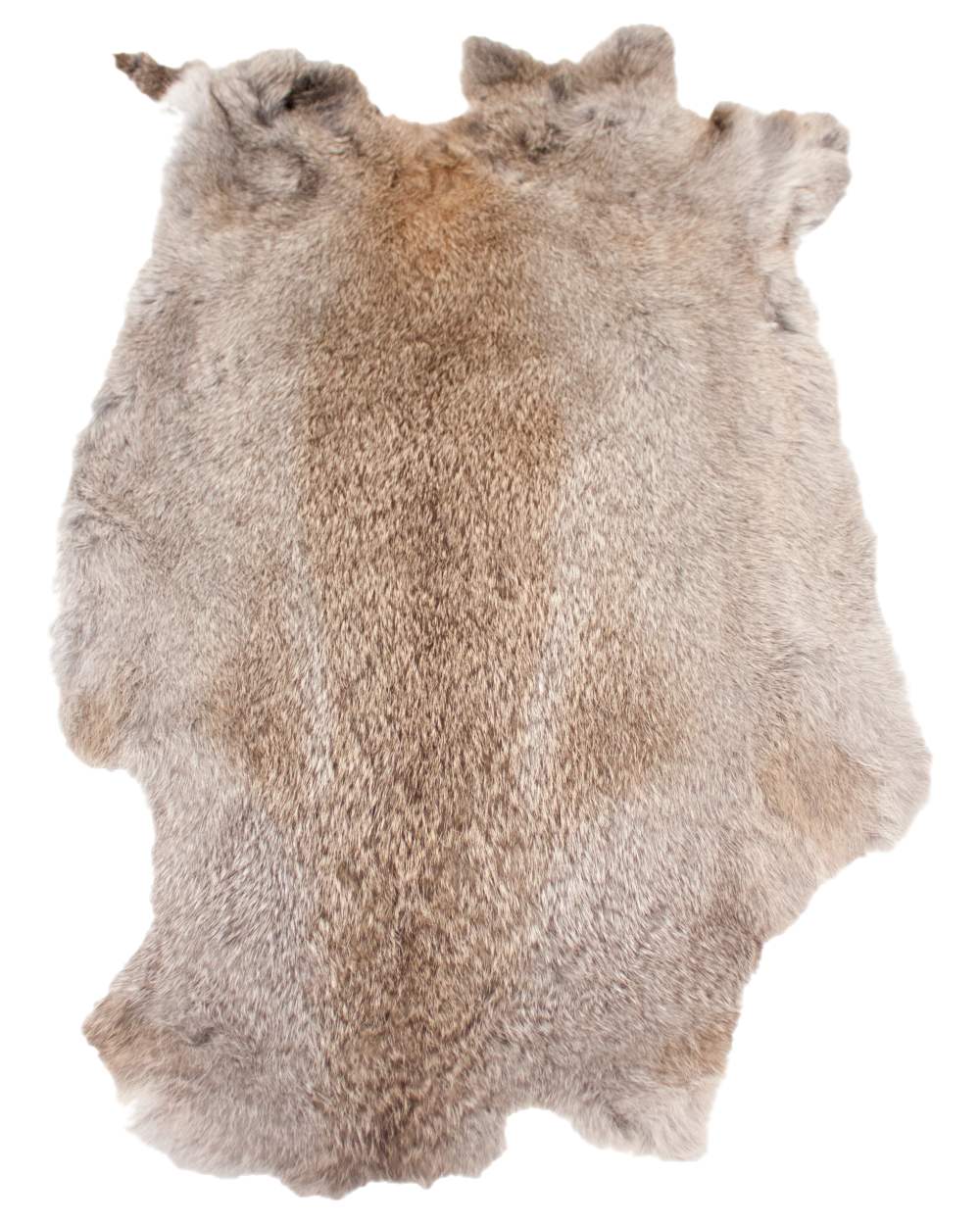 Bisley Rabbit Fur Skin On White Background