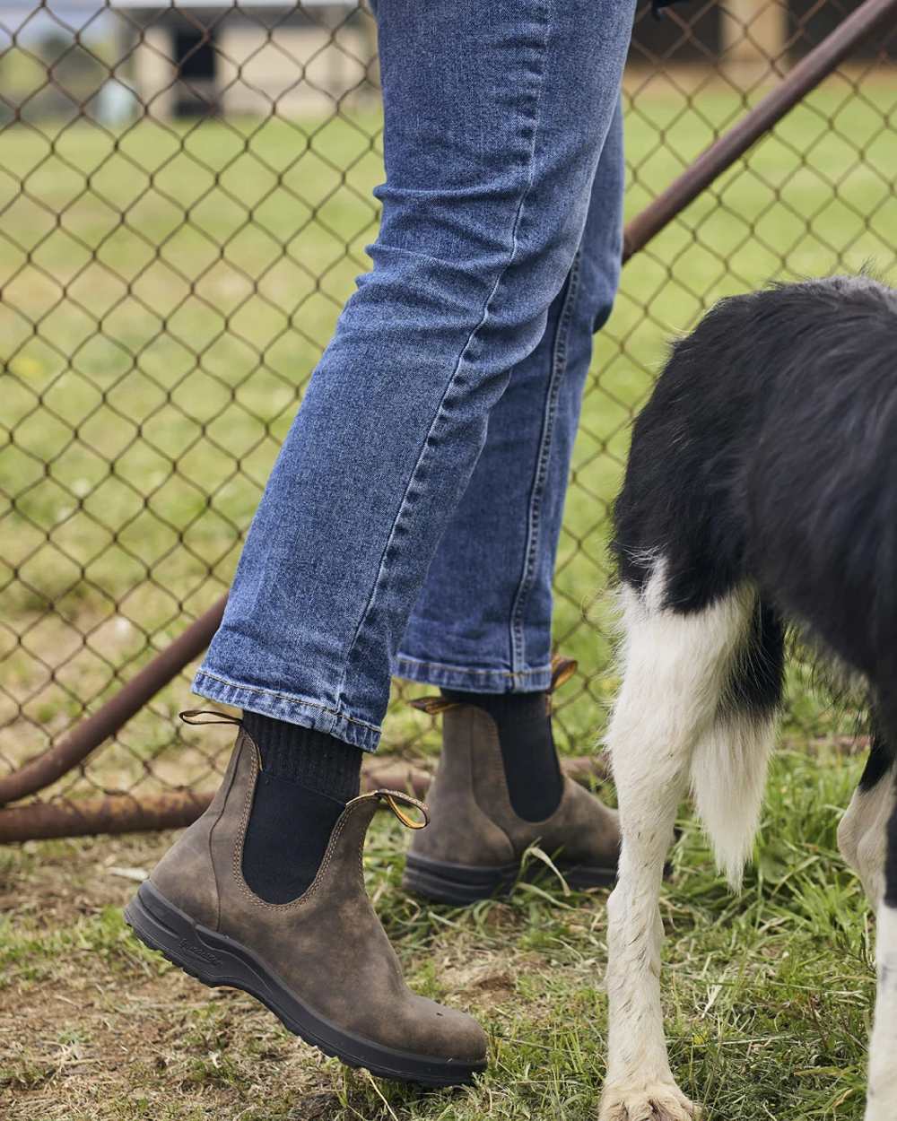 Rustic Brown Coloured Blundstone 2056 Rustic Brown Chelsea Boots on outdoor background