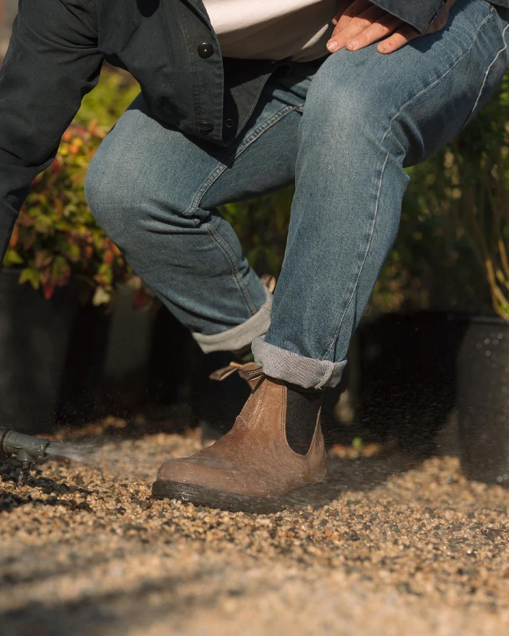 Taupe Coloured Blundstone 2341 Taupe Chelsea Boots on outdoor background