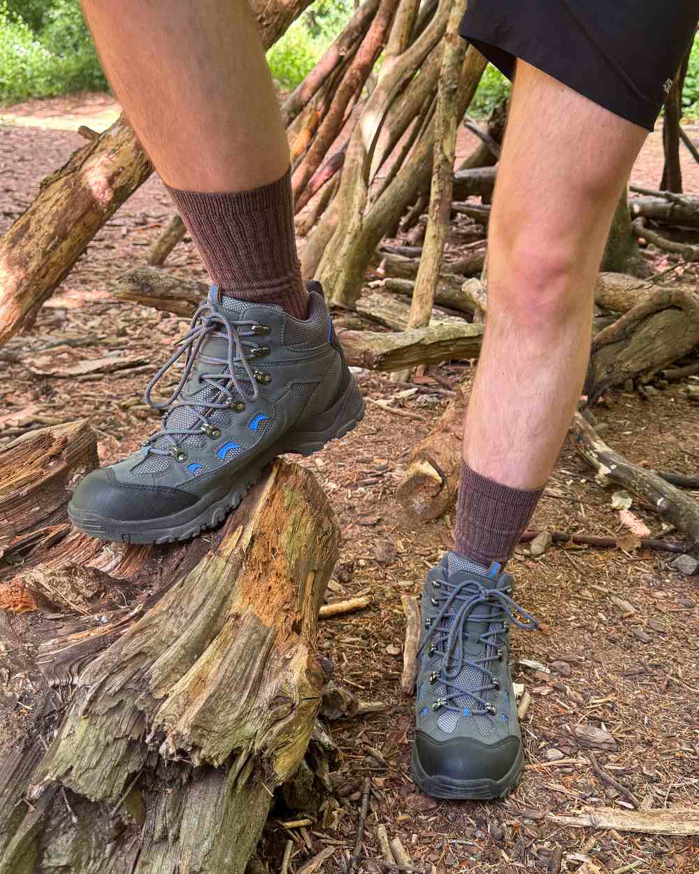 Khaki Mix coloured Bramble Mens Classic All Terrain Socks Triple Pack on forest background
