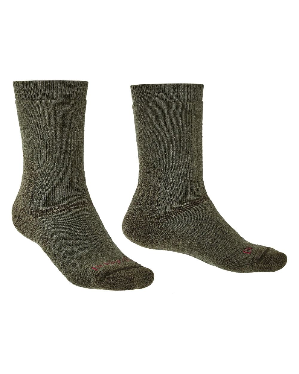 Front of Olive coloured Bridgedale Heavyweight Merino Performance Socks on a white background
