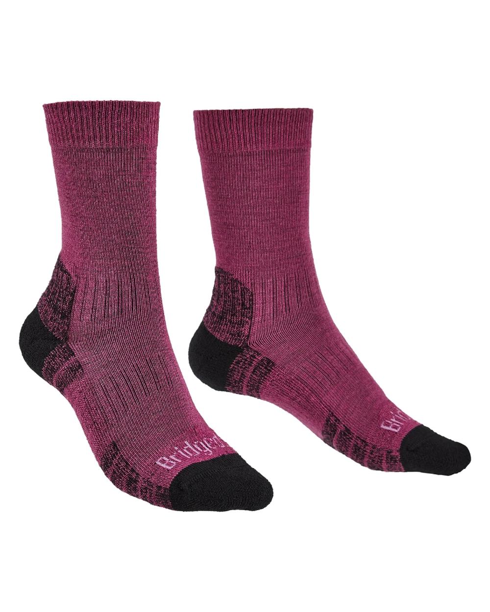 Front of Berry coloured Bridgedale Womens Lightweight Merino Performance Socks on white background