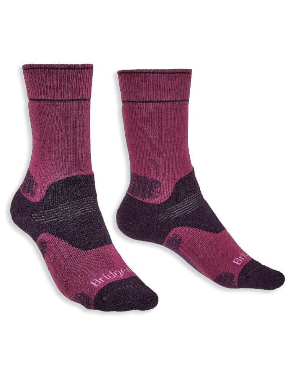 Berry/Plum Coloured Bridgedale Womens Midweight Merino Performance Socks On A White Background