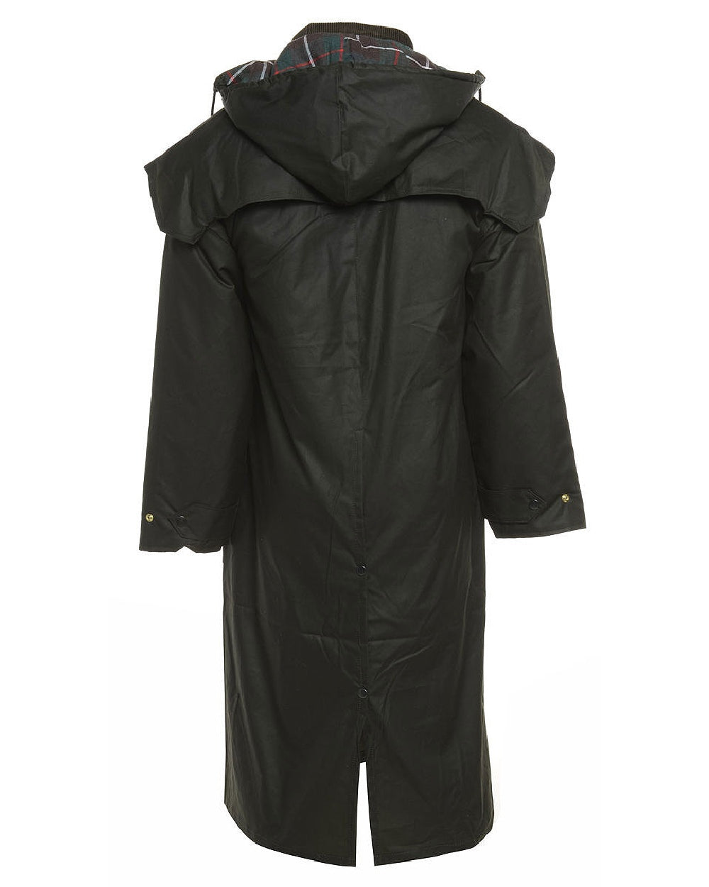 Green coloured Bronte Long Wax Cotton Coat on white background