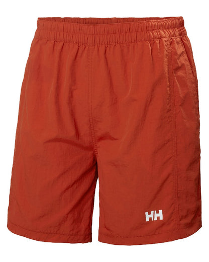 Canyon coloured Helly Hansen Mens Calshot Trunks on a white background 