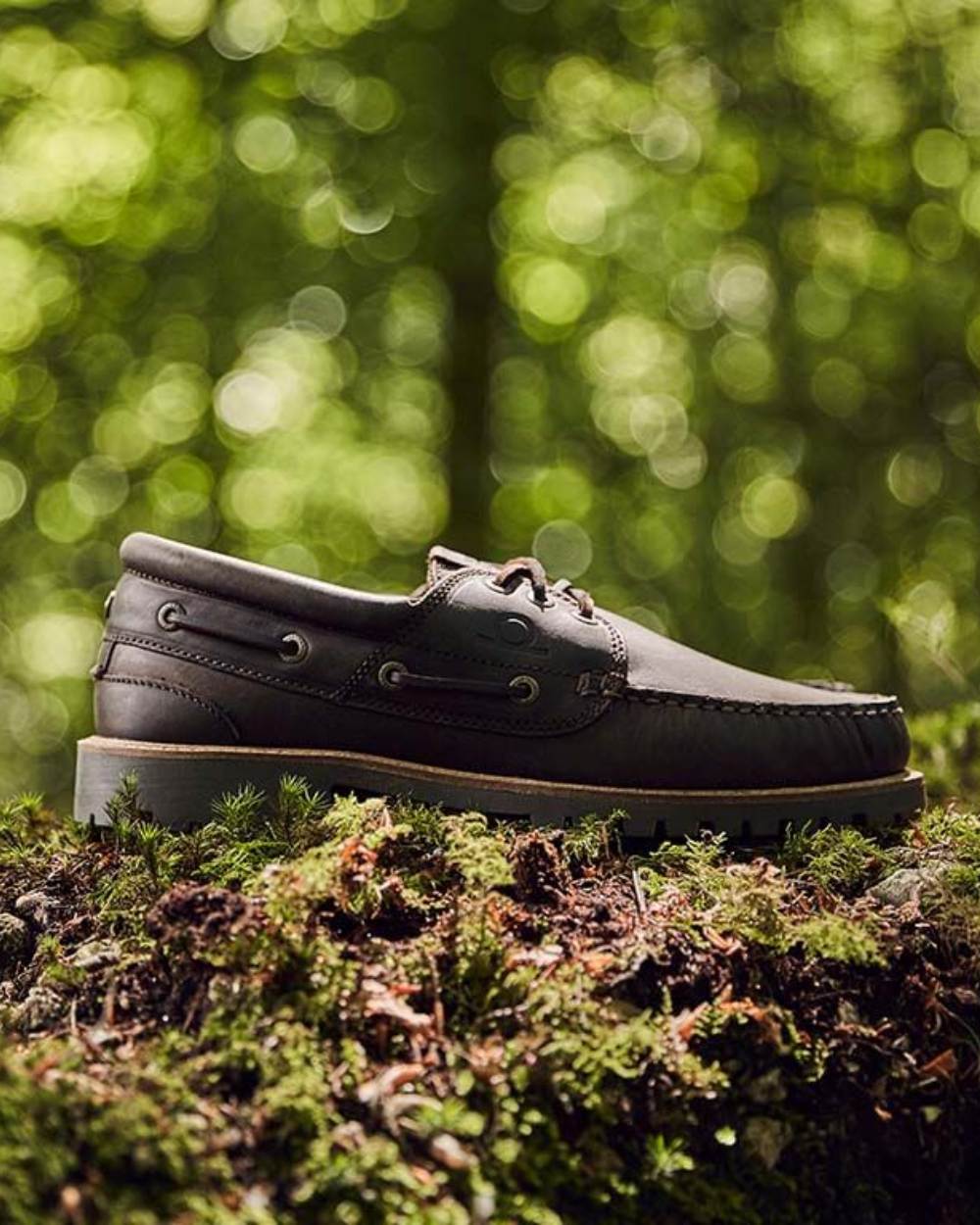 Dark Brown Coloured Chatham Mens Sperrin-Winter Boat Shoes on forest background
