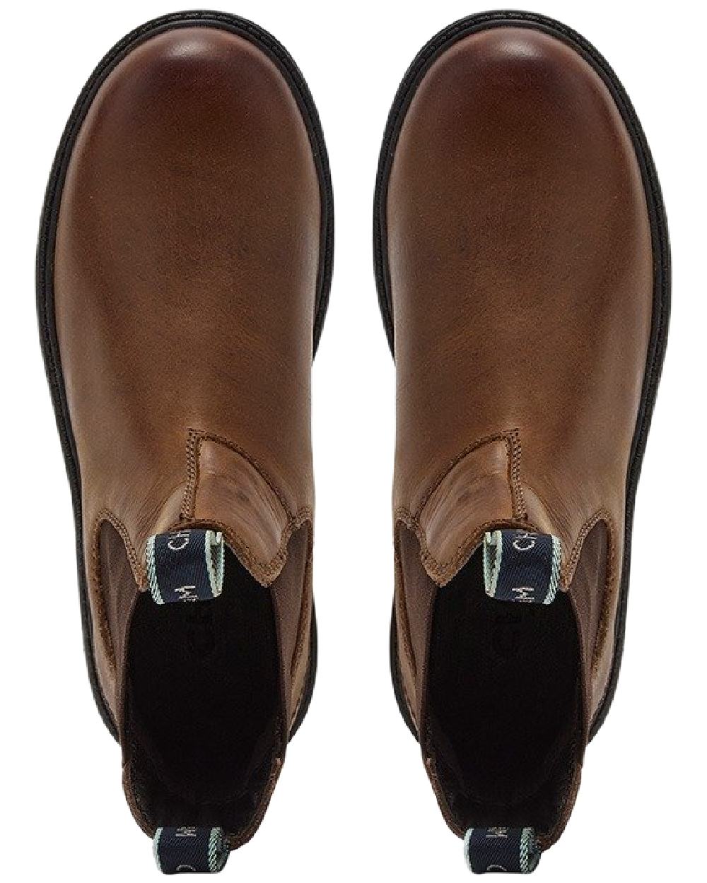 Tan Coloured Chatham Womens Oasby Premium Leather Outdoor Chelsea Boots on white background