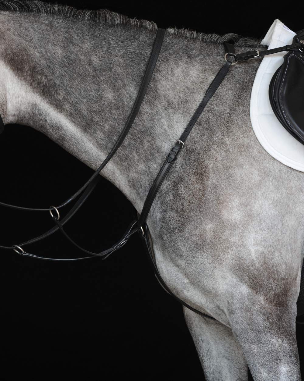 Black coloured Collegiate Hunter Breast Plate IV on black background