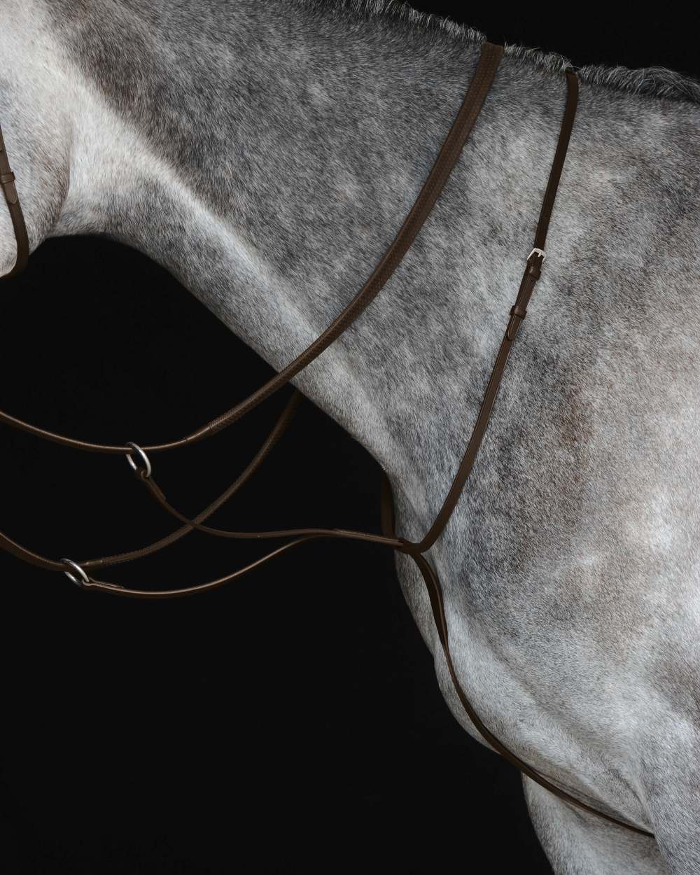 Brown coloured Collegiate Running Martingale IV on black background