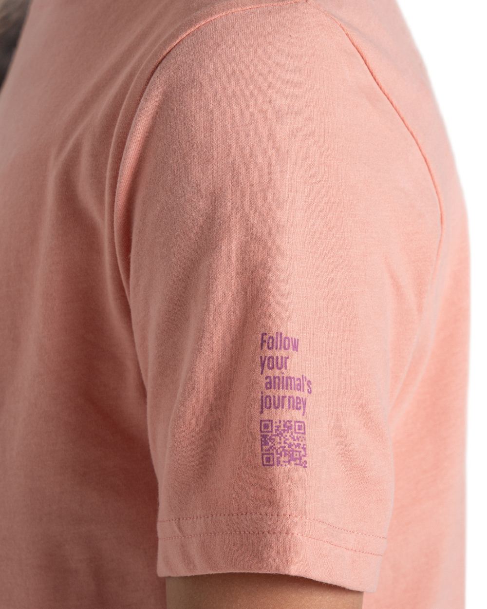 Sunset Haze coloured Craghoppers Childrens Ellis Short Sleeved T-Shirt on white background