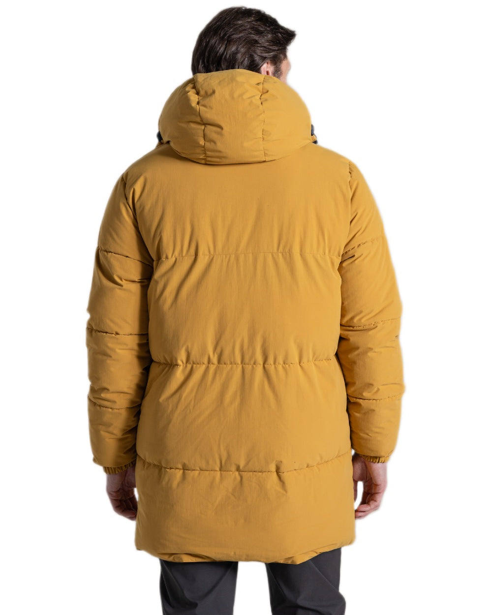 Dark Navy Beeswax Coloured Craghoppers Mens Bannerdale Reversible Jacket on white background