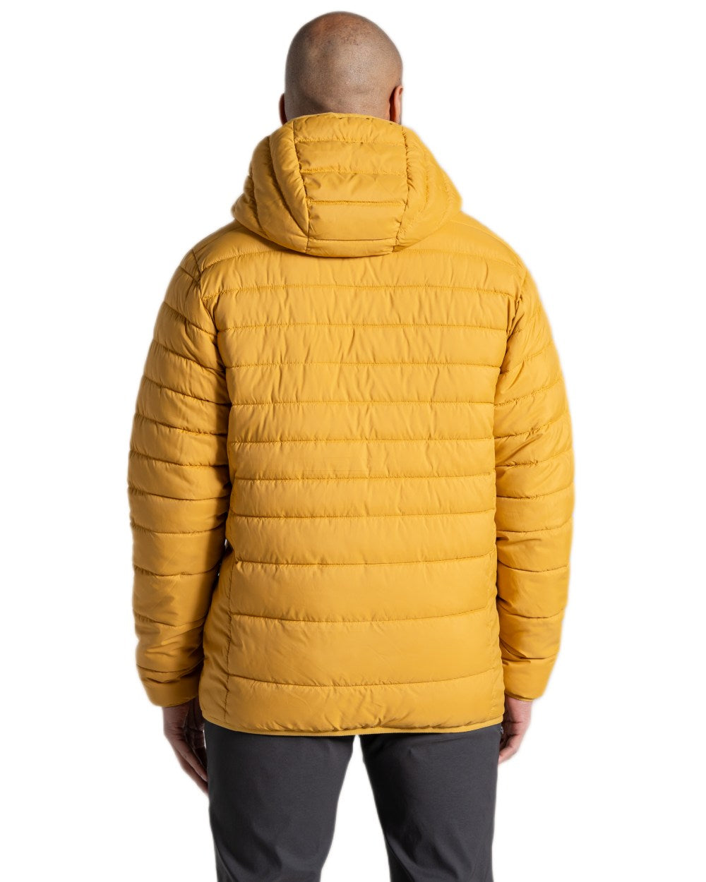Beeswax coloured Craghoppers Mens Compresslite IX Hooded Insulating Jacket on white background