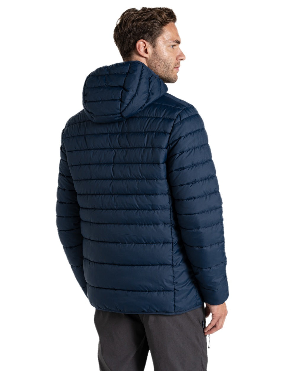 Blue Navy coloured Craghoppers Mens Compresslite IX Hooded Insulating Jacket on white background