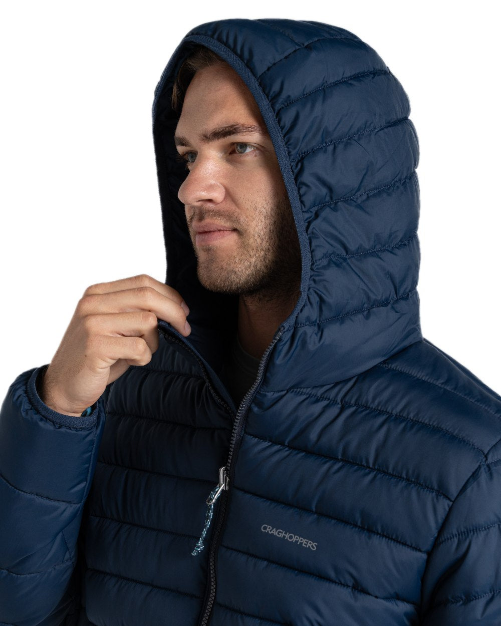 Blue Navy coloured Craghoppers Mens Compresslite IX Hooded Insulating Jacket on white background