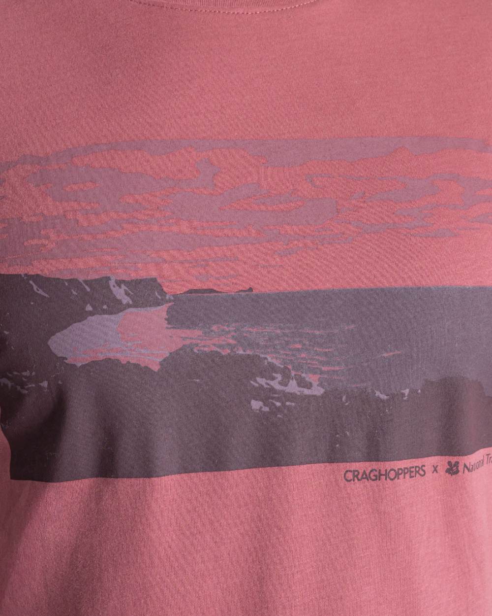 Atlas Red coloured Craghoppers Mens National Trust Sabden Short Sleeved T-Shirt on white background