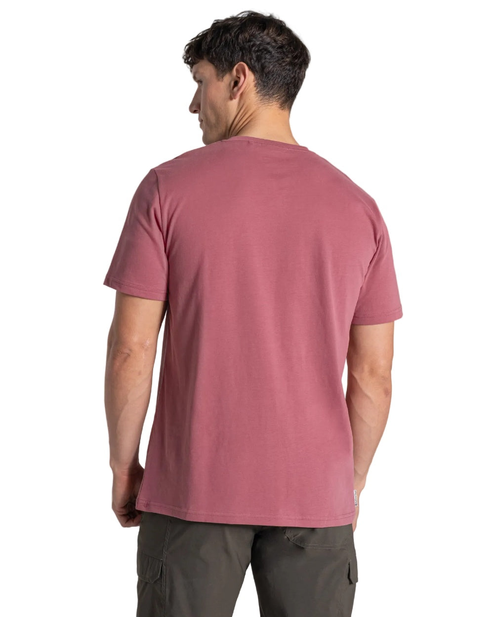 Atlas Red coloured Craghoppers Mens National Trust Sabden Short Sleeved T-Shirt on white background