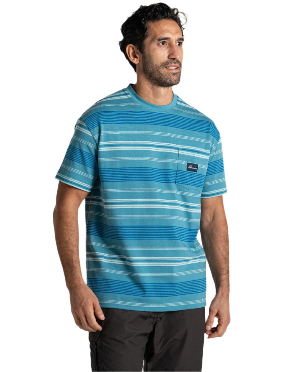 Tranquil Blue Stripe Craghoppers Mens Pointer Short Sleeved T-Shirt on white background
