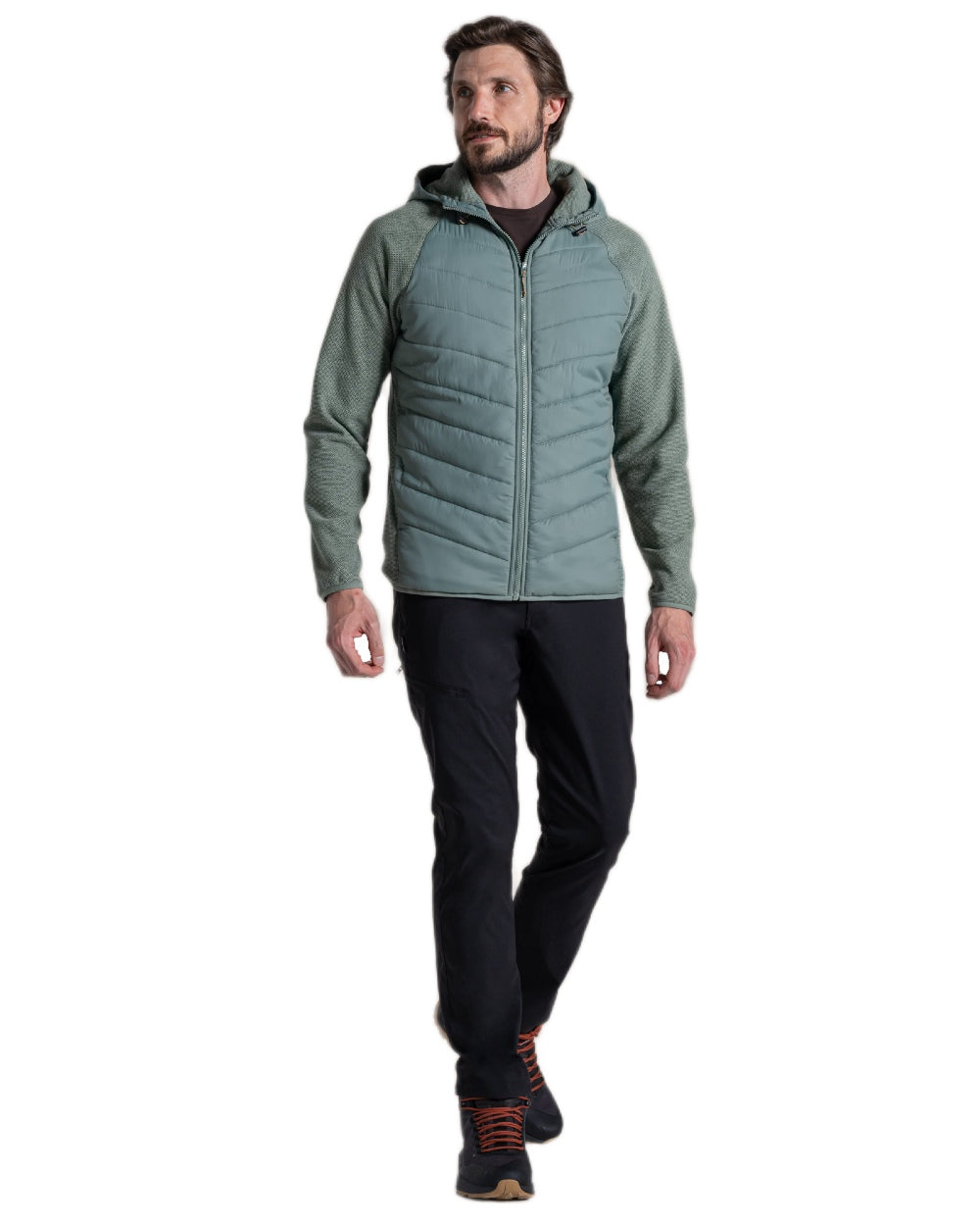 Laurel Green coloured Craghoppers Mens Vamos Hybrid Insulating Jacket on white background