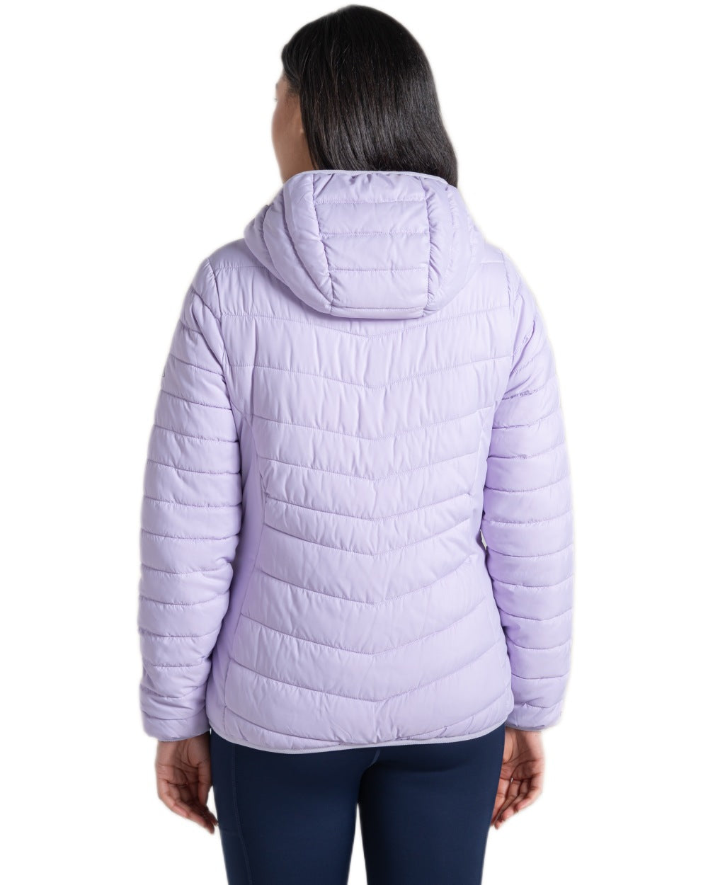 Parma Violet Coloured Craghoppers Womens Compresslite IX Hooded Insulating Jacket on white background