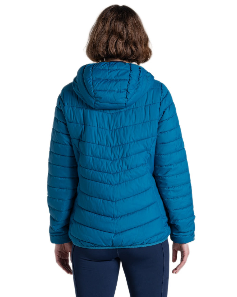 Porcelain Blue Coloured Craghoppers Womens Compresslite IX Hooded Insulating Jacket on white background