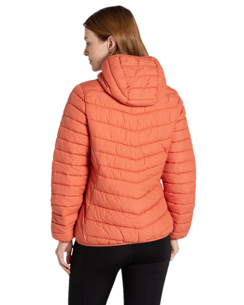 Red Sandstone coloured Craghoppers Womens Compresslite IX Hooded Insulating Jacket on white background
