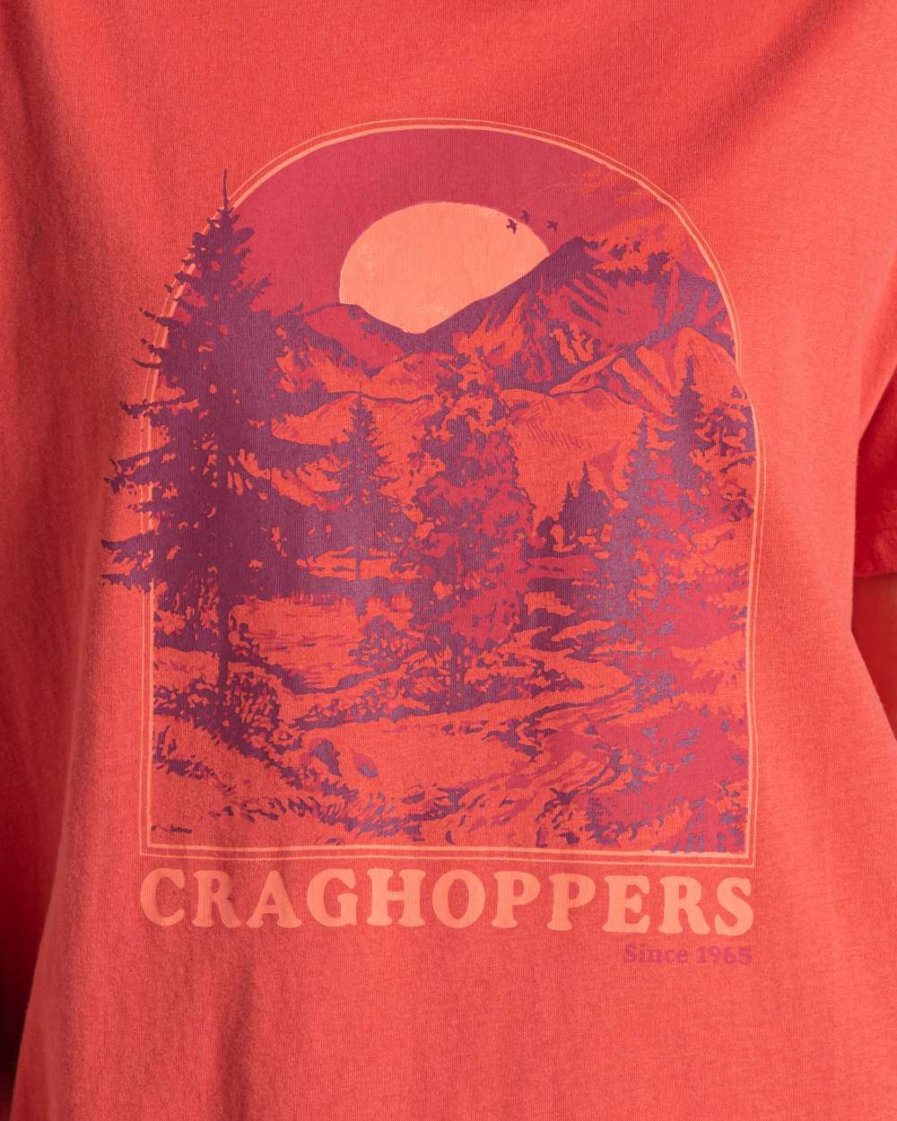 Compote Red Coloured Craghoppers Womens Yago Short Sleeved Top on White Background