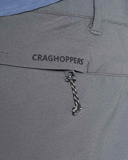 Dark Grey Coloured Craghoppers Mens NosiLife Pro Active Trousers On A White Background 