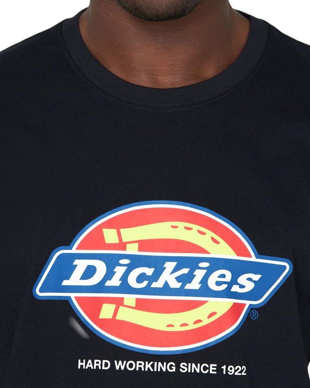 Black coloured Dickies Denison T-shirt on white background