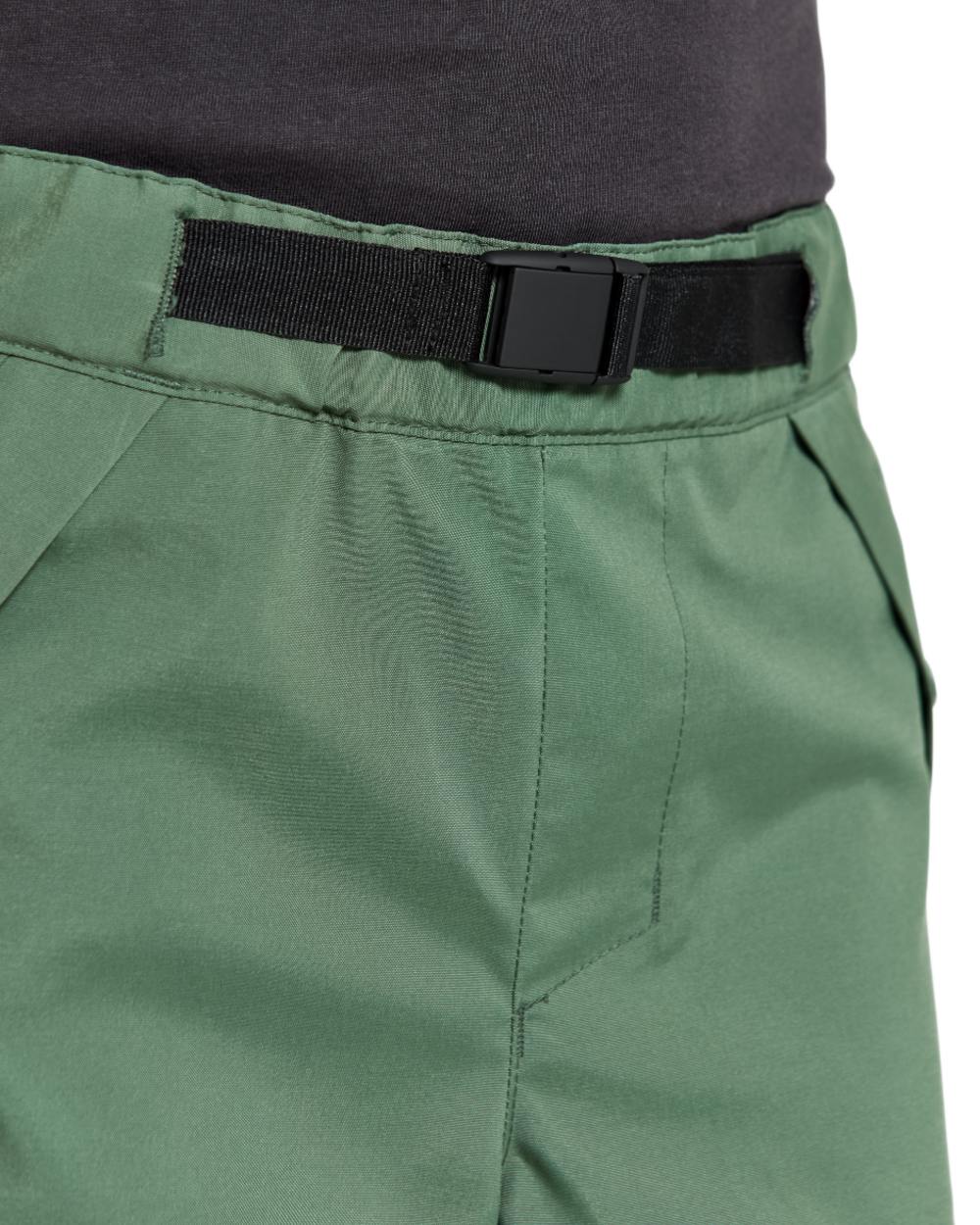 Dark Moss coloured Didriksons Childrens Eken Shorts on white background