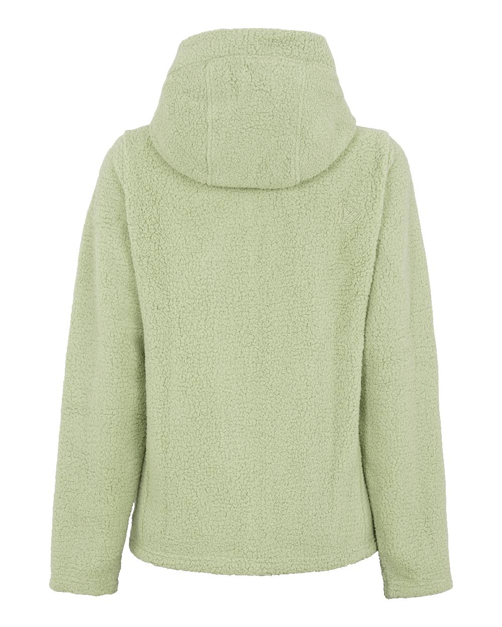 Soft Green coloured Didriksons Anniken Womens Full Zip Fleece on White background