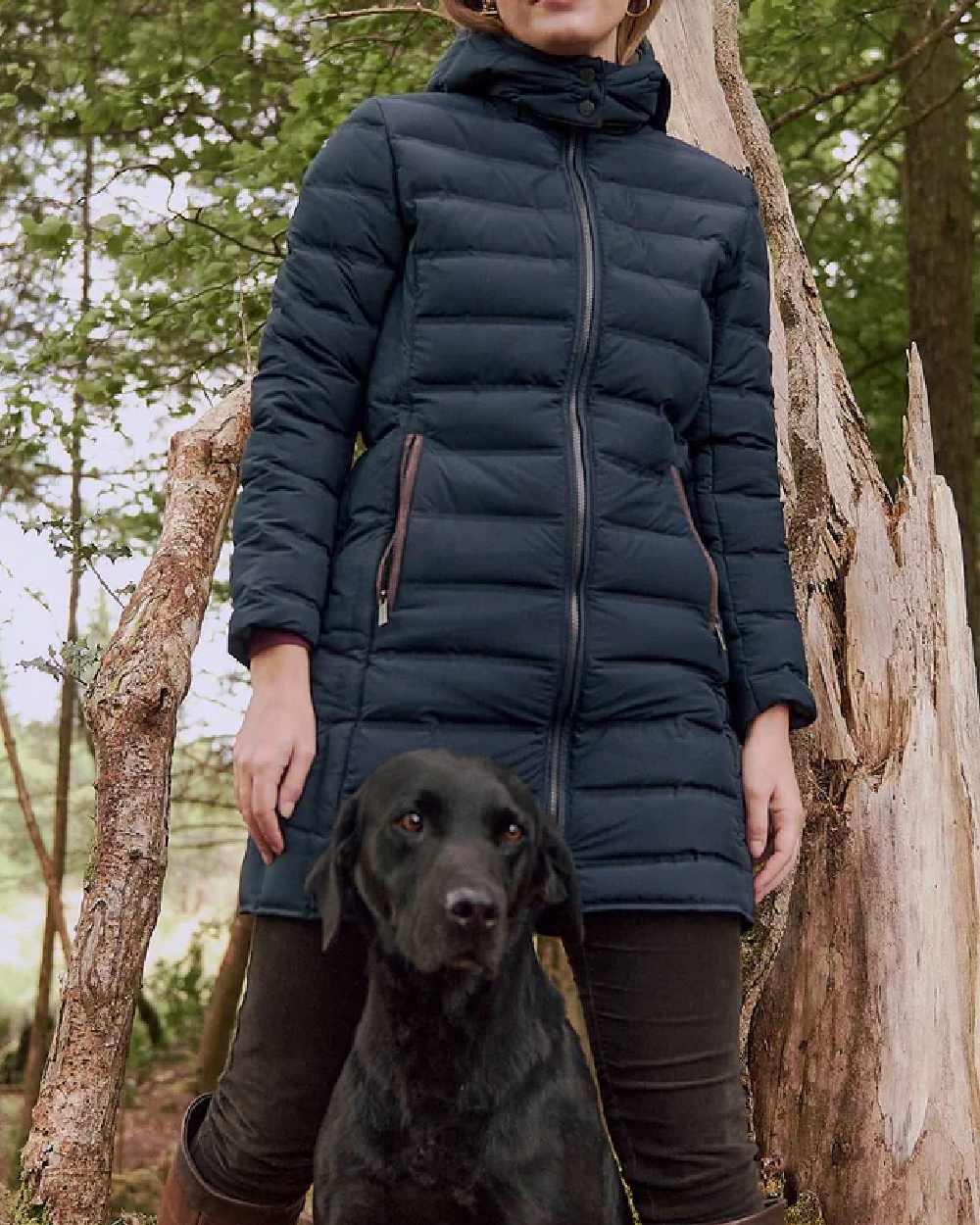 Navy coloured Dubarry Ballybrophy Quilted Jacket on tree background
