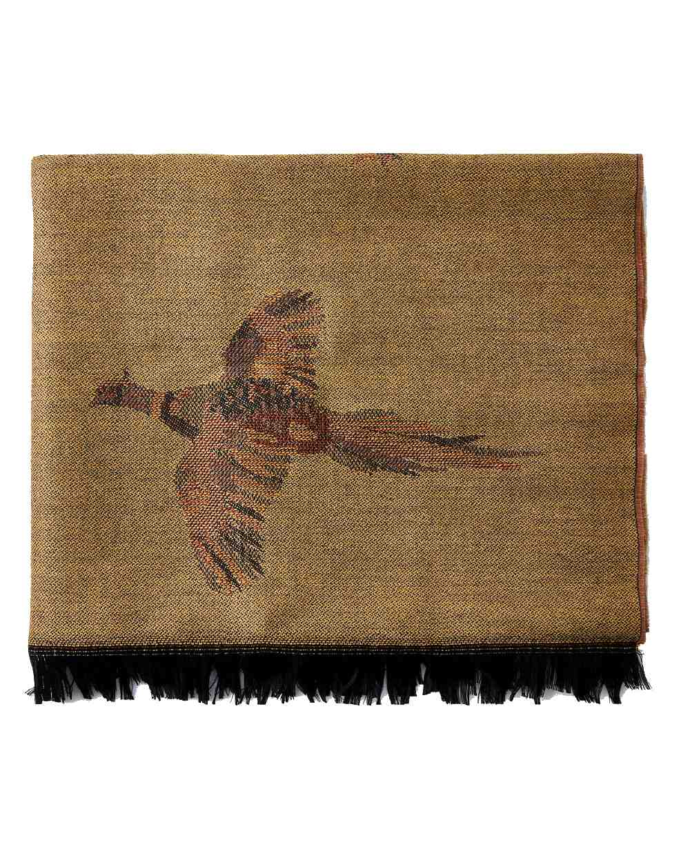 Harvest Gold Coloured Dubarry Birchdale Wool Stole on white background